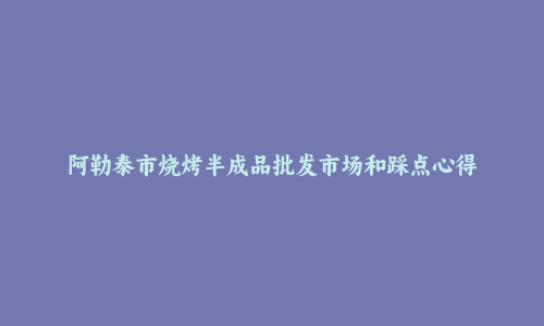 阿勒泰市烧烤半成品批发市场和踩点心得