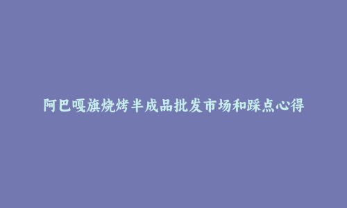 阿巴嘎旗烧烤半成品批发市场和踩点心得