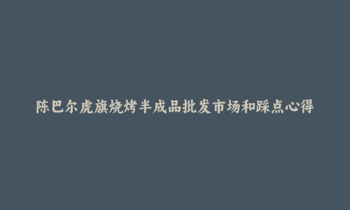 陈巴尔虎旗烧烤半成品批发市场和踩点心得