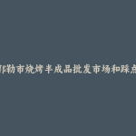 霍林郭勒市烧烤半成品批发市场和踩点心得