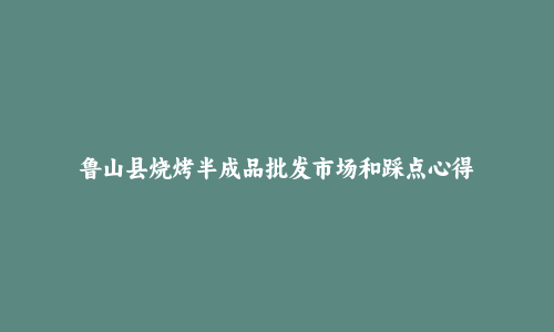 鲁山县烧烤半成品批发市场和踩点心得