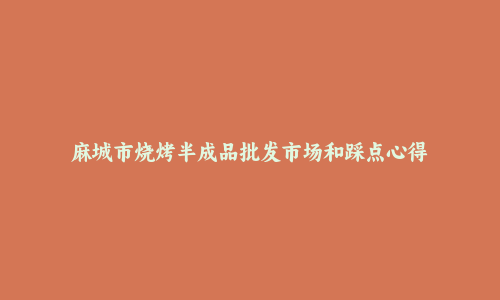 麻城市烧烤半成品批发市场和踩点心得