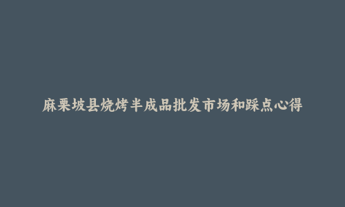 麻栗坡县烧烤半成品批发市场和踩点心得