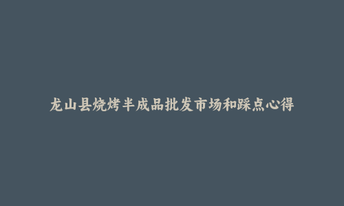龙山县烧烤半成品批发市场和踩点心得