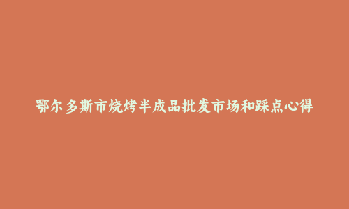 鄂尔多斯市烧烤半成品批发市场和踩点心得