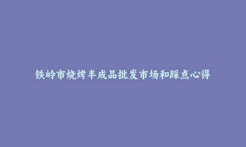铁岭市烧烤半成品批发市场和踩点心得