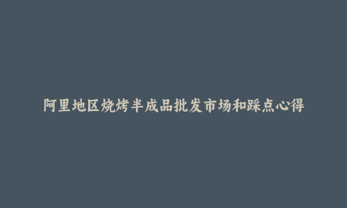 阿里地区烧烤半成品批发市场和踩点心得