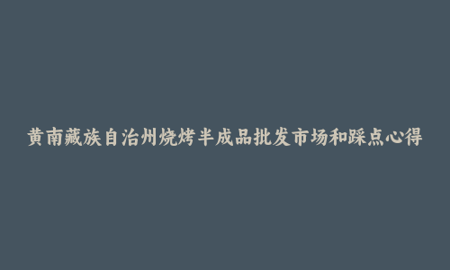 黄南藏族自治州烧烤半成品批发市场和踩点心得