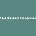 东明县烧烤半成品批发市场和踩点心得