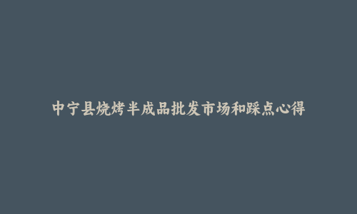 中宁县烧烤半成品批发市场和踩点心得