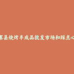 丹寨县烧烤半成品批发市场和踩点心得