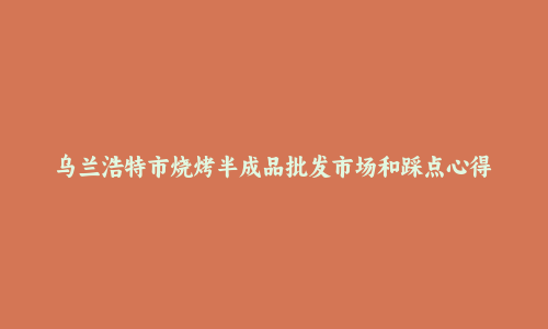 乌兰浩特市烧烤半成品批发市场和踩点心得