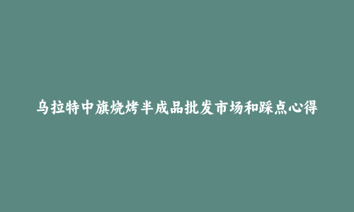 乌拉特中旗烧烤半成品批发市场和踩点心得