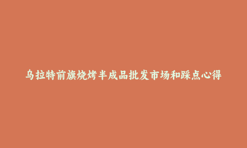 乌拉特前旗烧烤半成品批发市场和踩点心得