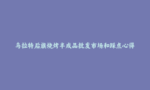 乌拉特后旗烧烤半成品批发市场和踩点心得
