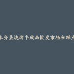 乌鲁木齐县烧烤半成品批发市场和踩点心得