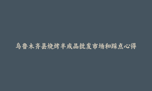 乌鲁木齐县烧烤半成品批发市场和踩点心得