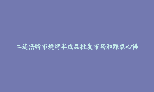二连浩特市烧烤半成品批发市场和踩点心得