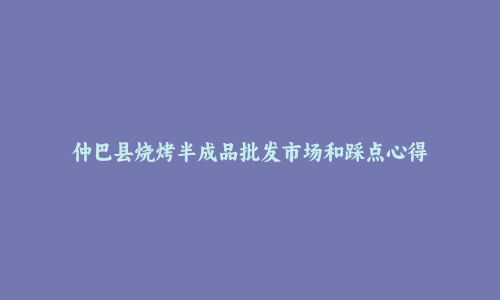 仲巴县烧烤半成品批发市场和踩点心得