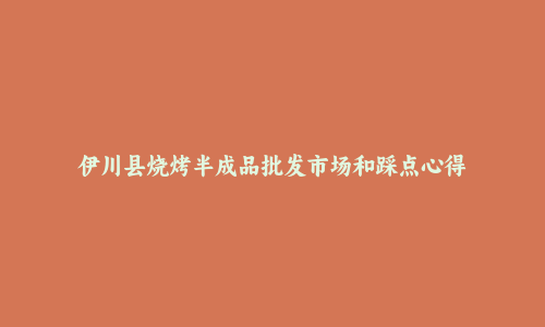 伊川县烧烤半成品批发市场和踩点心得
