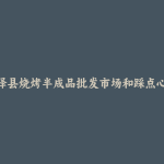 光泽县烧烤半成品批发市场和踩点心得
