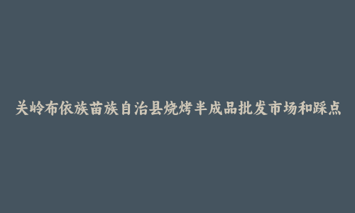 关岭布依族苗族自治县烧烤半成品批发市场和踩点心得