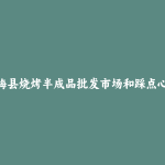 兴海县烧烤半成品批发市场和踩点心得