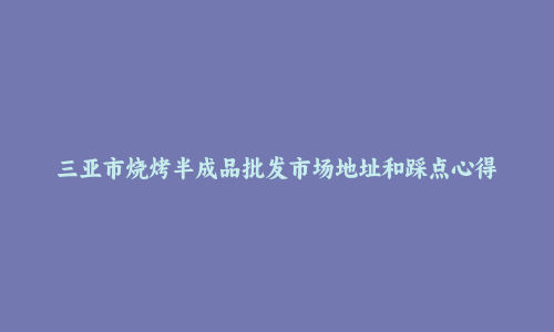 三亚市烧烤半成品批发市场地址和踩点心得