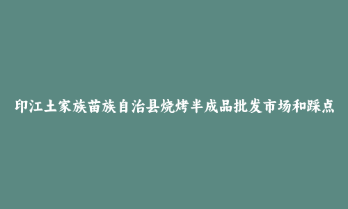 印江土家族苗族自治县烧烤半成品批发市场和踩点心得