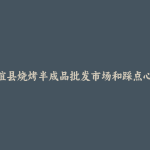 友谊县烧烤半成品批发市场和踩点心得