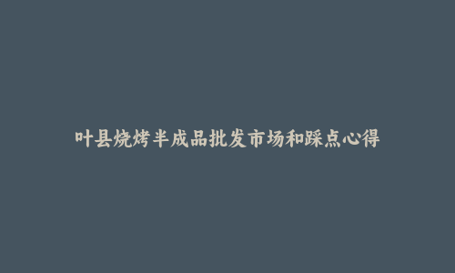 叶县烧烤半成品批发市场和踩点心得