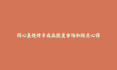 同心县烧烤半成品批发市场和踩点心得