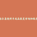 和林格尔县烧烤半成品批发市场和踩点心得