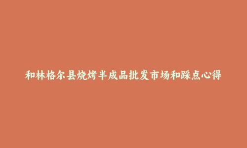 和林格尔县烧烤半成品批发市场和踩点心得