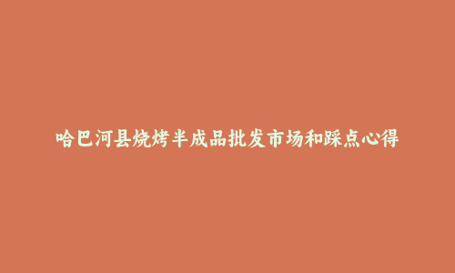 哈巴河县烧烤半成品批发市场和踩点心得