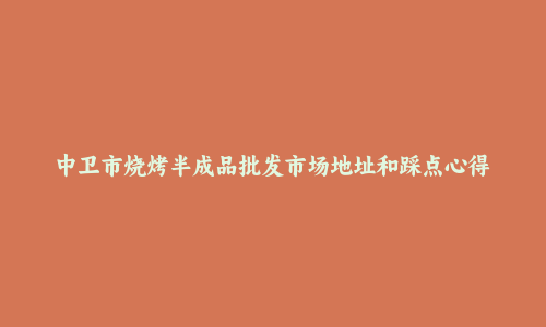 中卫市烧烤半成品批发市场地址和踩点心得