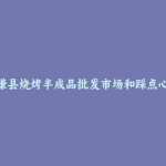 囊谦县烧烤半成品批发市场和踩点心得