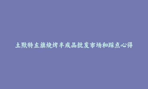 土默特左旗烧烤半成品批发市场和踩点心得