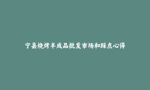 宁县烧烤半成品批发市场和踩点心得