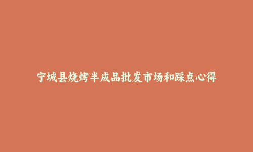 宁城县烧烤半成品批发市场和踩点心得