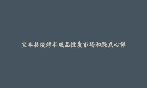 宝丰县烧烤半成品批发市场和踩点心得