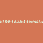 宿松县烧烤半成品批发市场和踩点心得