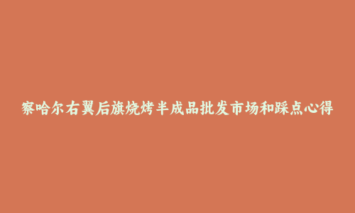 察哈尔右翼后旗烧烤半成品批发市场和踩点心得