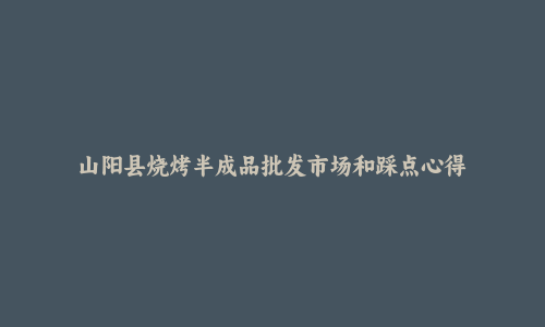 山阳县烧烤半成品批发市场和踩点心得