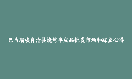 巴马瑶族自治县烧烤半成品批发市场和踩点心得